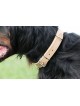COLLIER EN CUIR POUR CHIEN