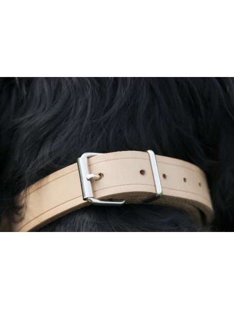 COLLIER EN CUIR POUR CHIEN