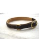 COLLIER EN CUIR DOUBLE POUR CHIEN