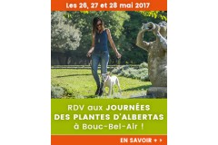 Esprit Cabot aux Journées des Plantes d'Albertas